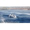 Eden Catamaran (3 Hours) Charter